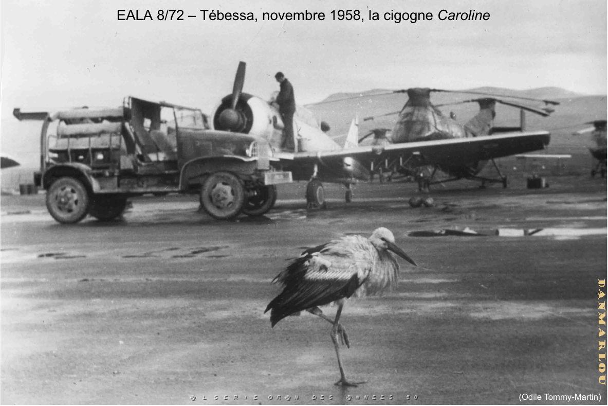 185- ARMEE DE L'AIR EN ALGERIE 1945-1962-33 (13).jpg